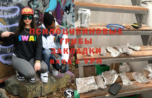 дурь Горнозаводск