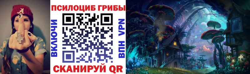 цены наркотик  Тула  Галлюциногенные грибы Magic Shrooms 